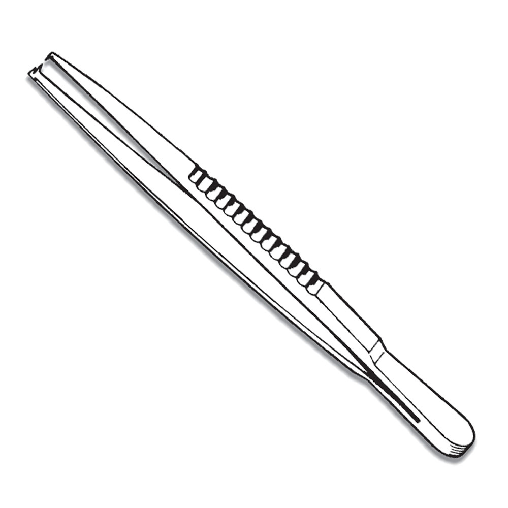 Dissecting Forceps