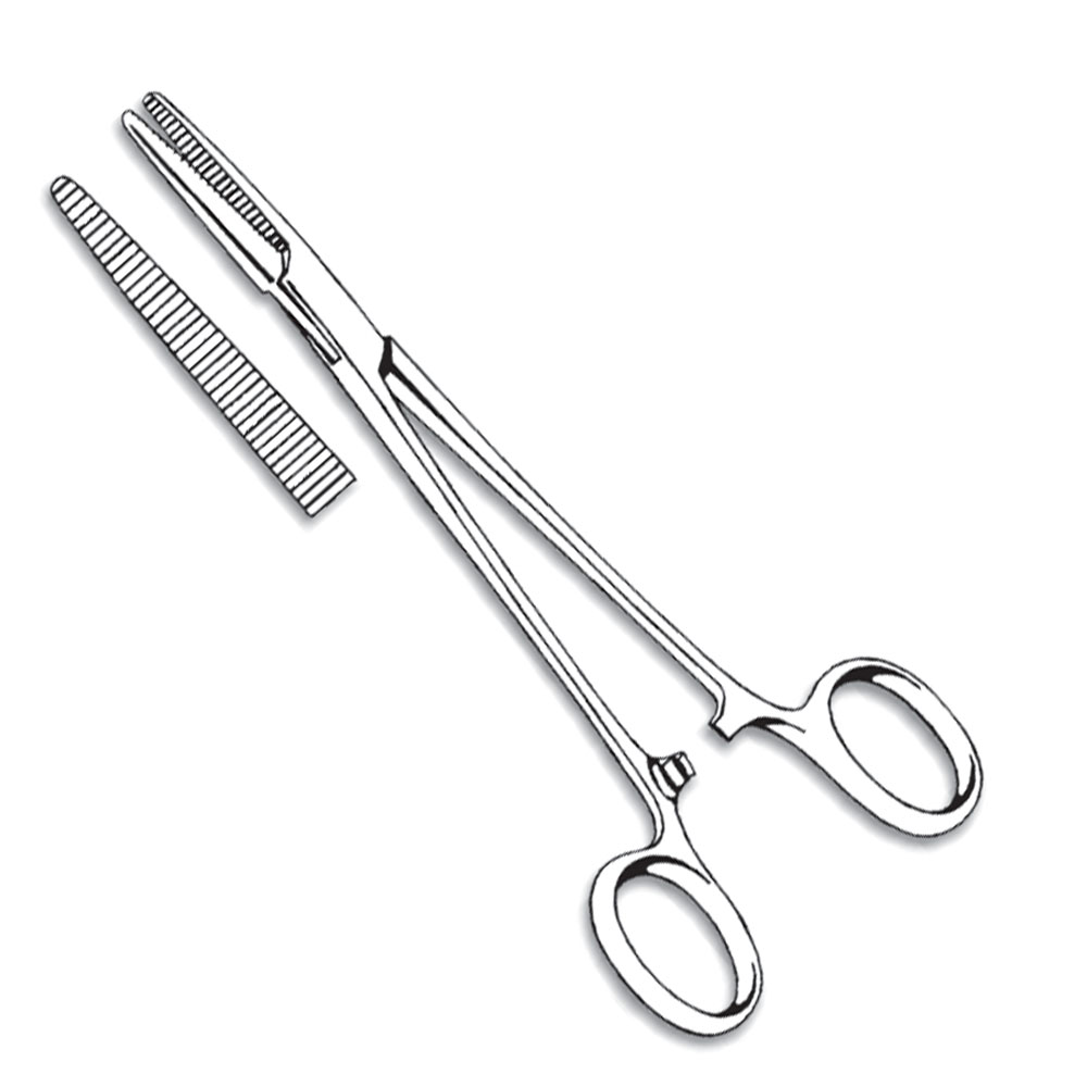 Artery Forceps