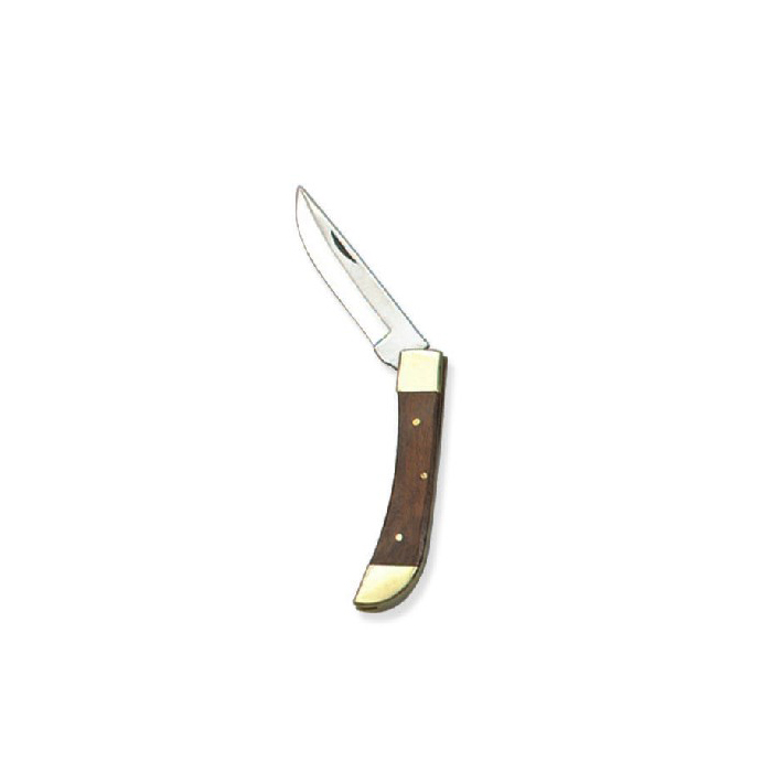 Fish knife