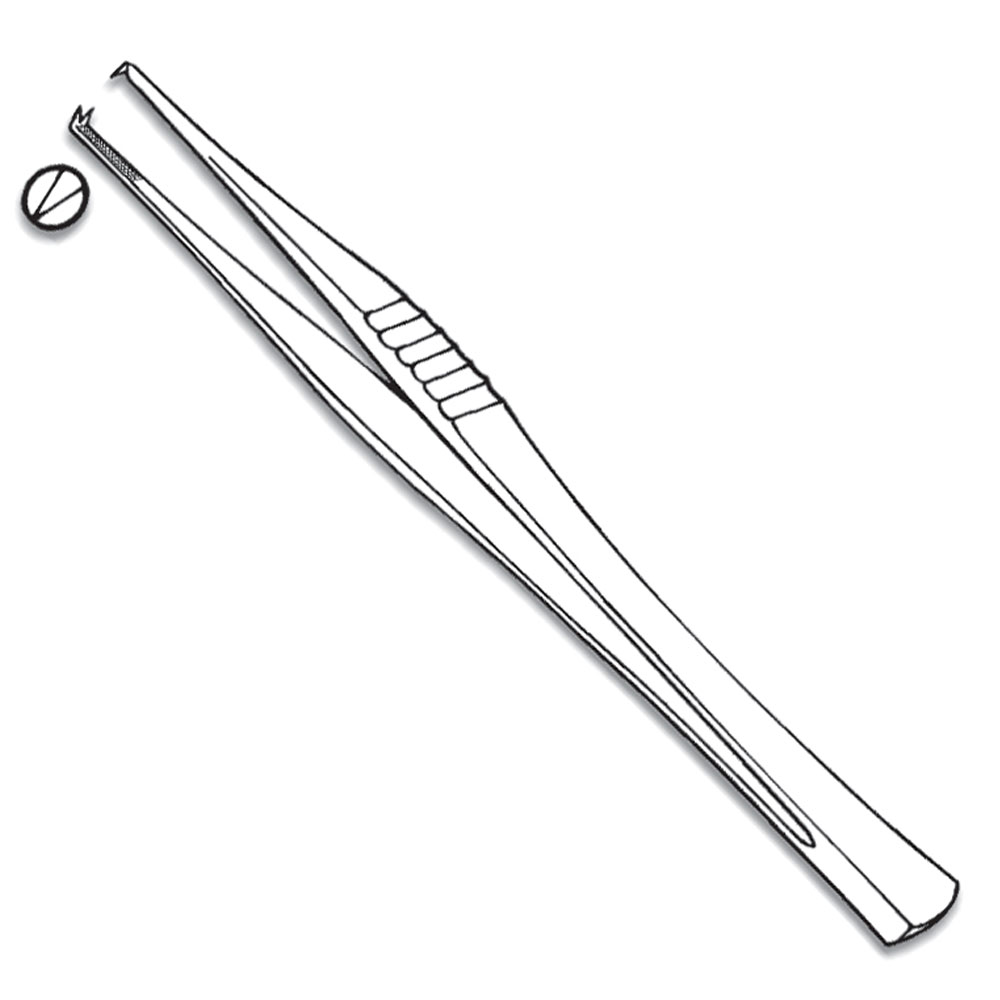 Dissecting Forceps