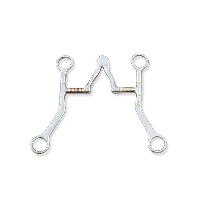 Reining Horse Cathedral Bit