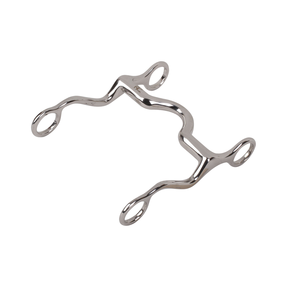 Western Congress Bit